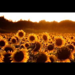 Meet your Posher, Jacquelyn